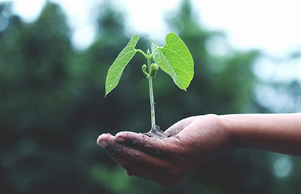 Bills We're Tracking