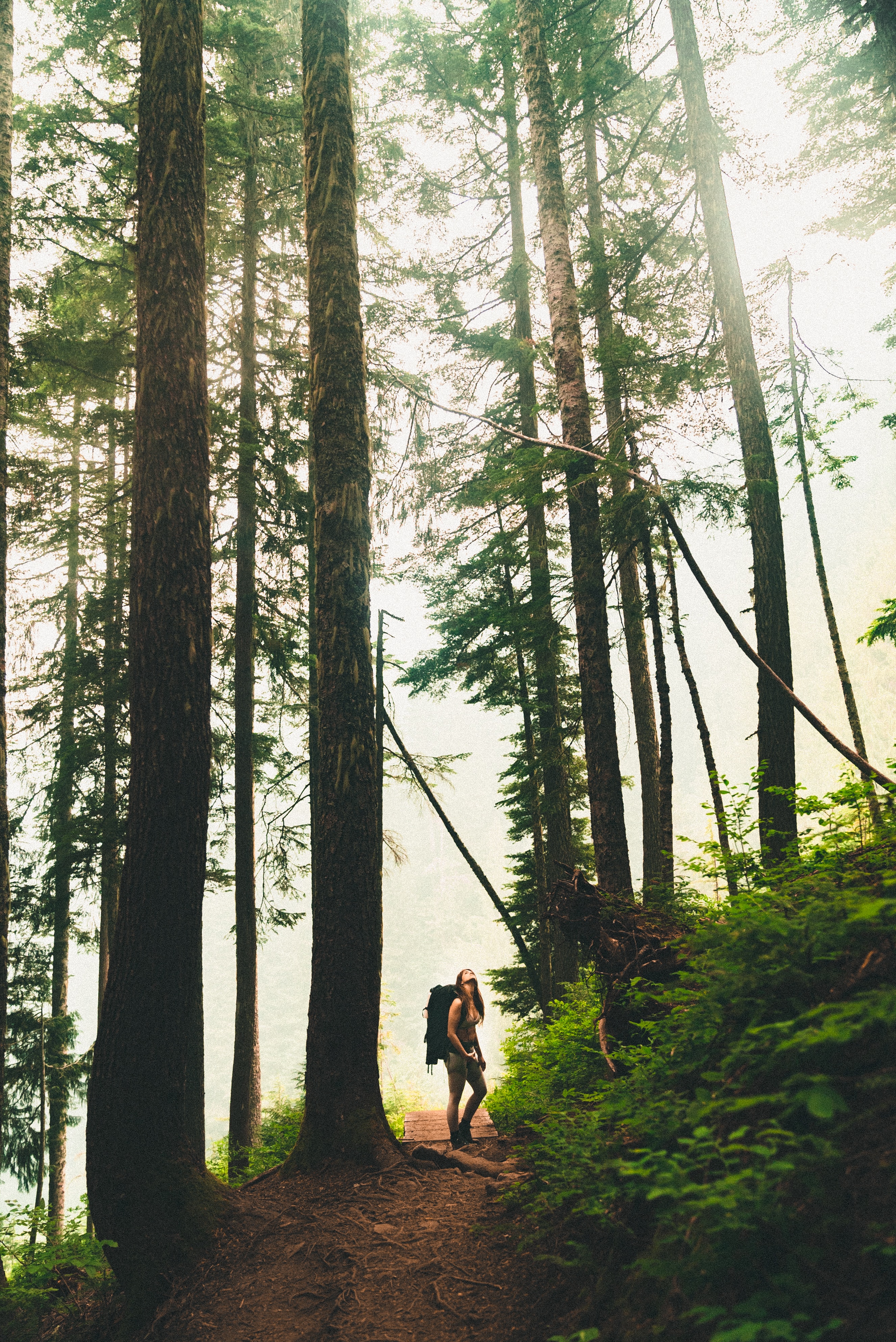PNW Pic Hiking PNW Pic Hiking