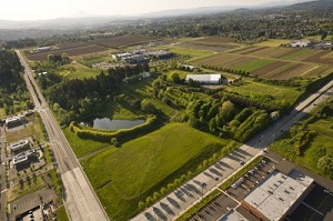 aerial-view aerial-view