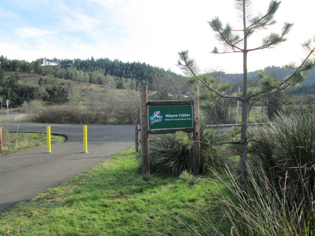 Dog Friendly Attractions and Events Visit Sutherlin