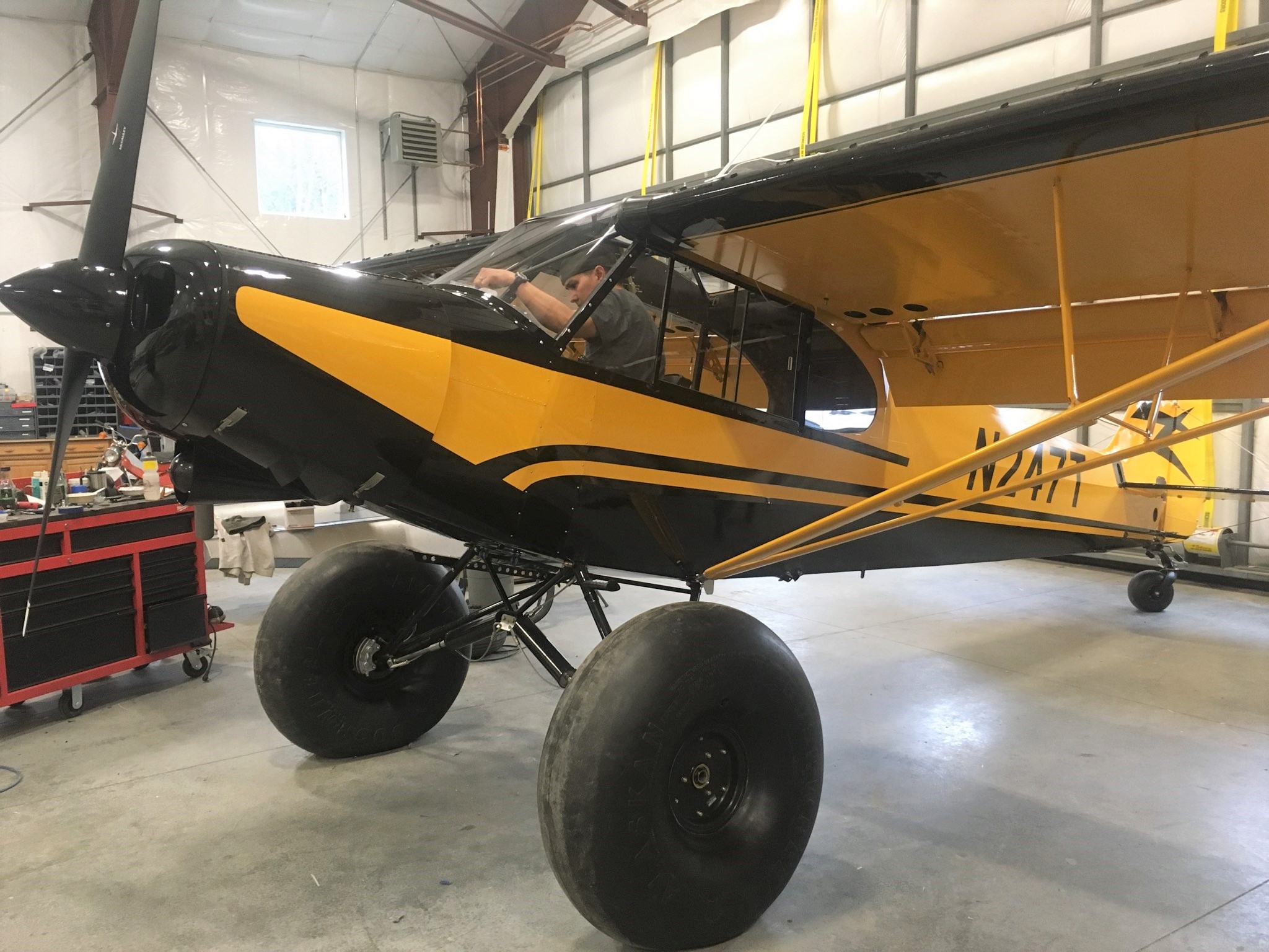 Finished Cub