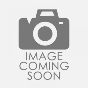 Image-Coming-Soon-2 Image-Coming-Soon-2