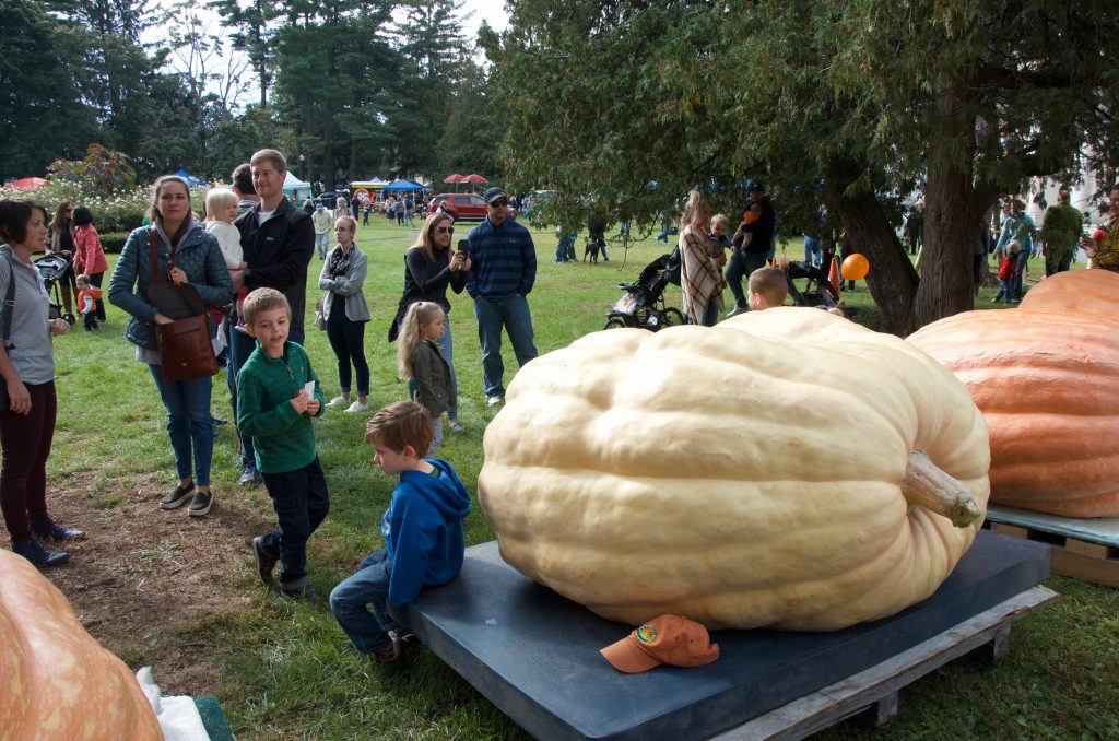 Giant Pumpkin Fest Saratoga County Chamber of Commerce