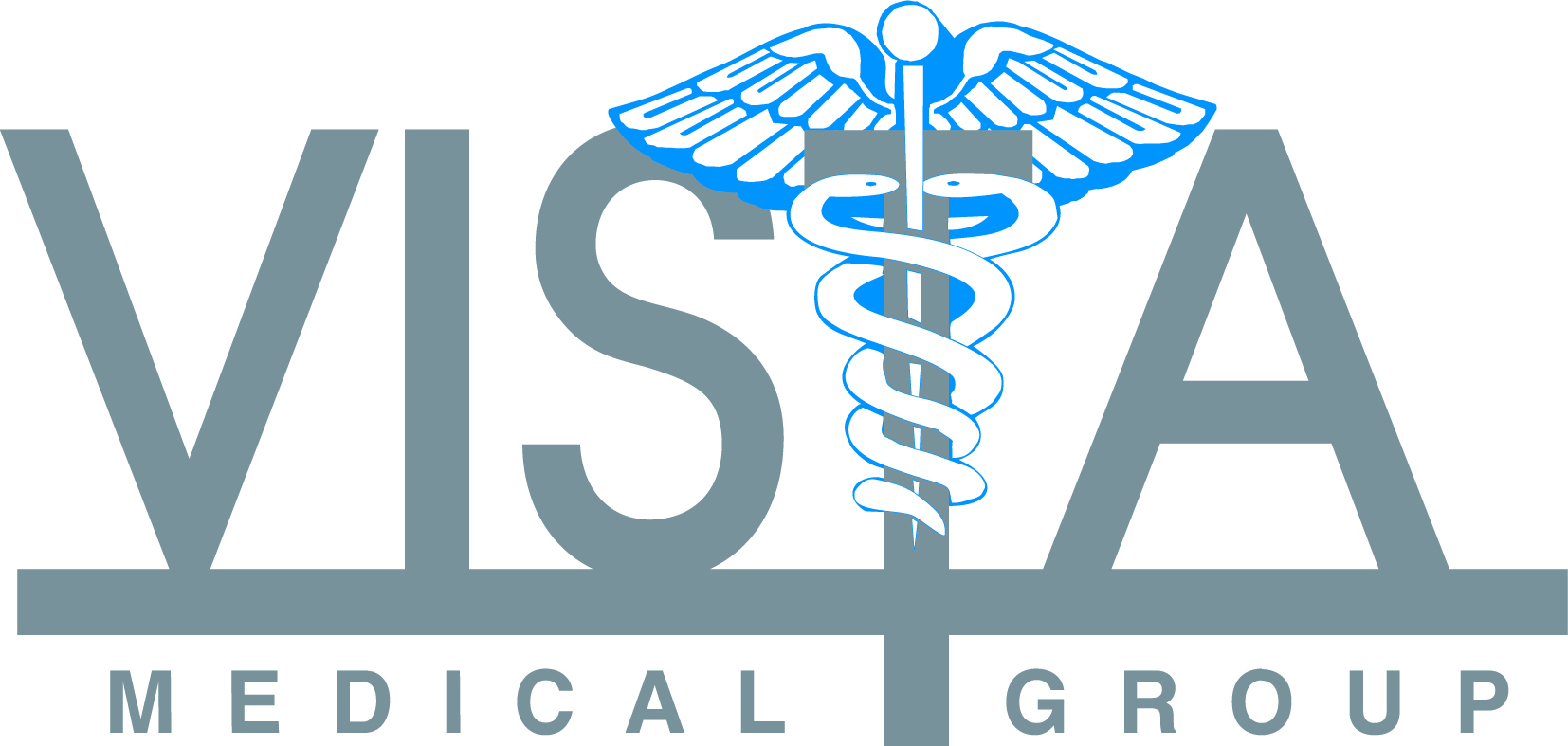 Vista Medical Group Logo Vista Medical Group Logo