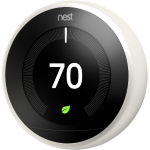 nest1 nest1