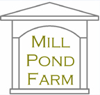 https://wordpressstorageaccount.blob.core.windows.net/wp-media/wp-content/uploads/sites/915/2019/02/mill_pond_-_web.jpg