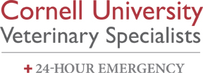 Cornell