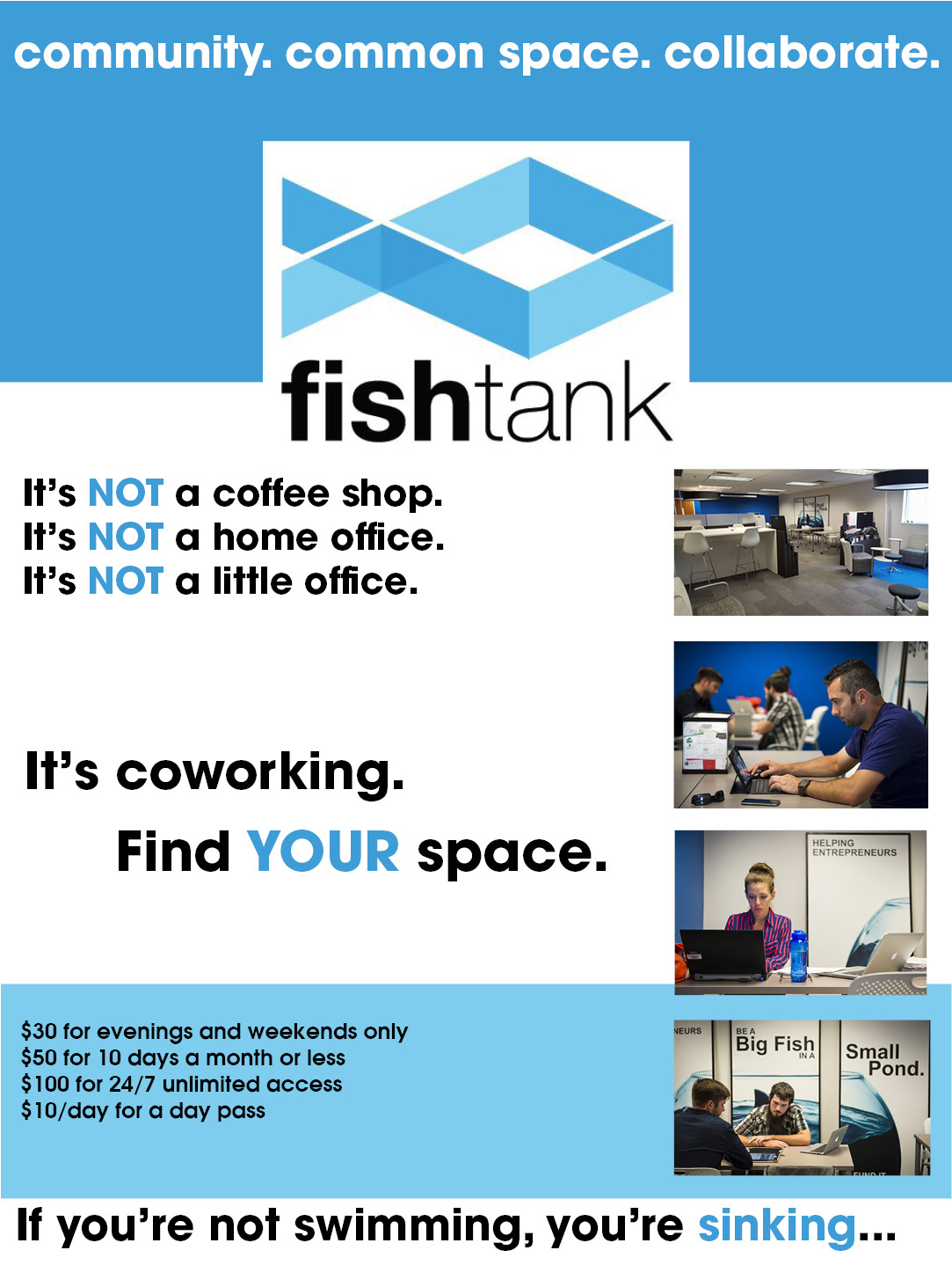 website graphic about fishtank2018 website graphic about fishtank2018